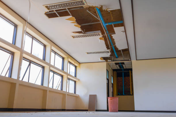 Best Local water damage restoration  in St John, MO