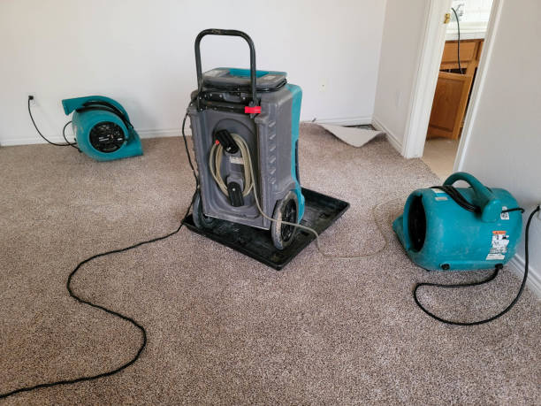 Best Water damage repair service  in St John, MO