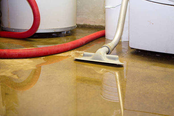Best Water damage restoration near me  in St John, MO