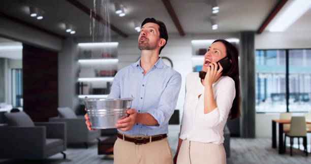 Best Water damage restoration company  in St John, MO